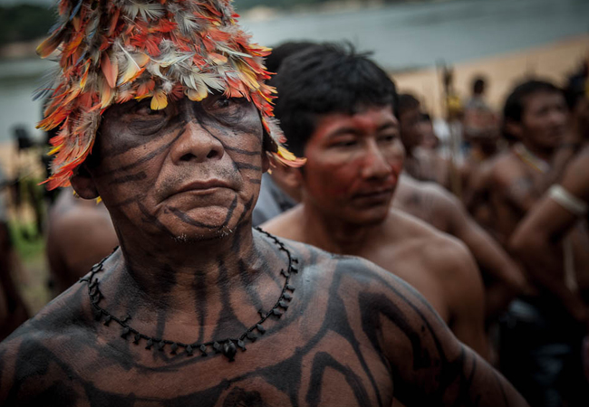 A pintura no copo do cacique Munduruku.(Foto: Marcio Isensee e Sá/APública)
