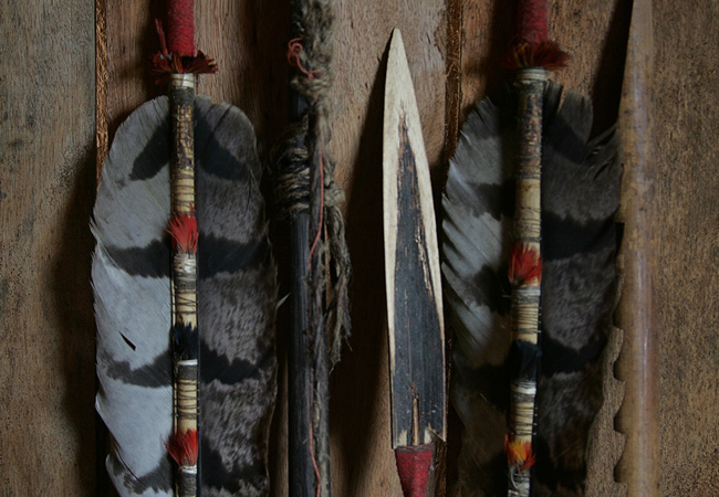 As flechas confeccionadas com penas gavião, pássaro considerado protetor dos Kagwahiva (Foto: Odair Leal/AR)