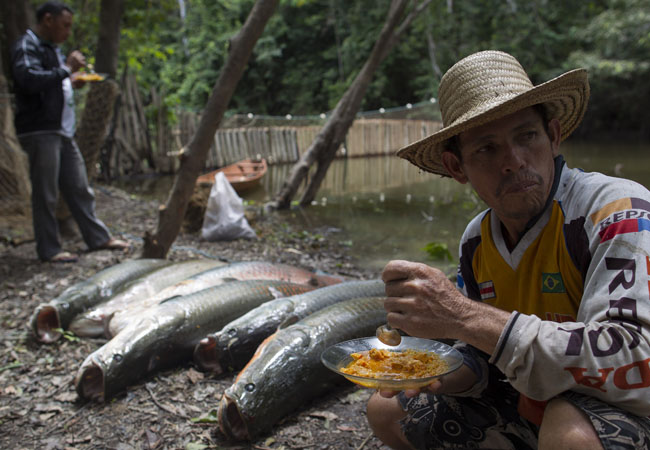 Na Comunidade Ilha do Rumão, em Mamirauá, pescador aproveita o descando para a refeição com pirarucu. (Foto: Bruno Kelly)