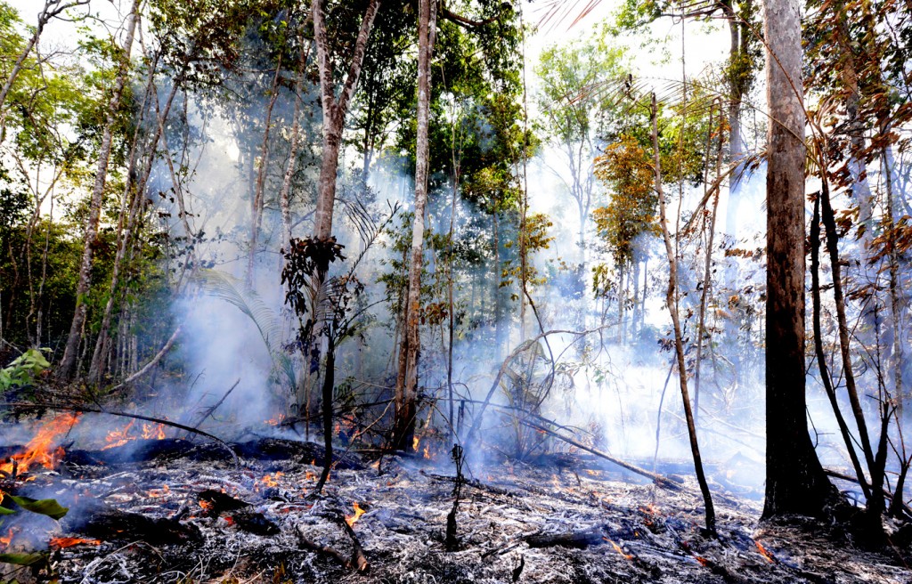 Em Manaquiri o fogo tomou conta da floresta (Foto: Chico Batata)