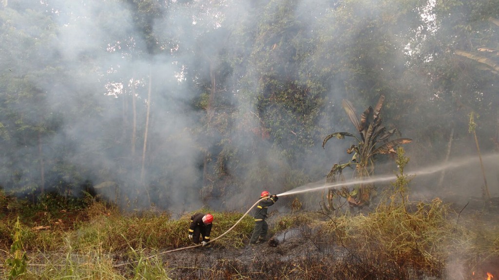 Incêndio em Rio Preto da Eva, região metropolitana de Manaus (Foto: Corpo de Bombeiros)