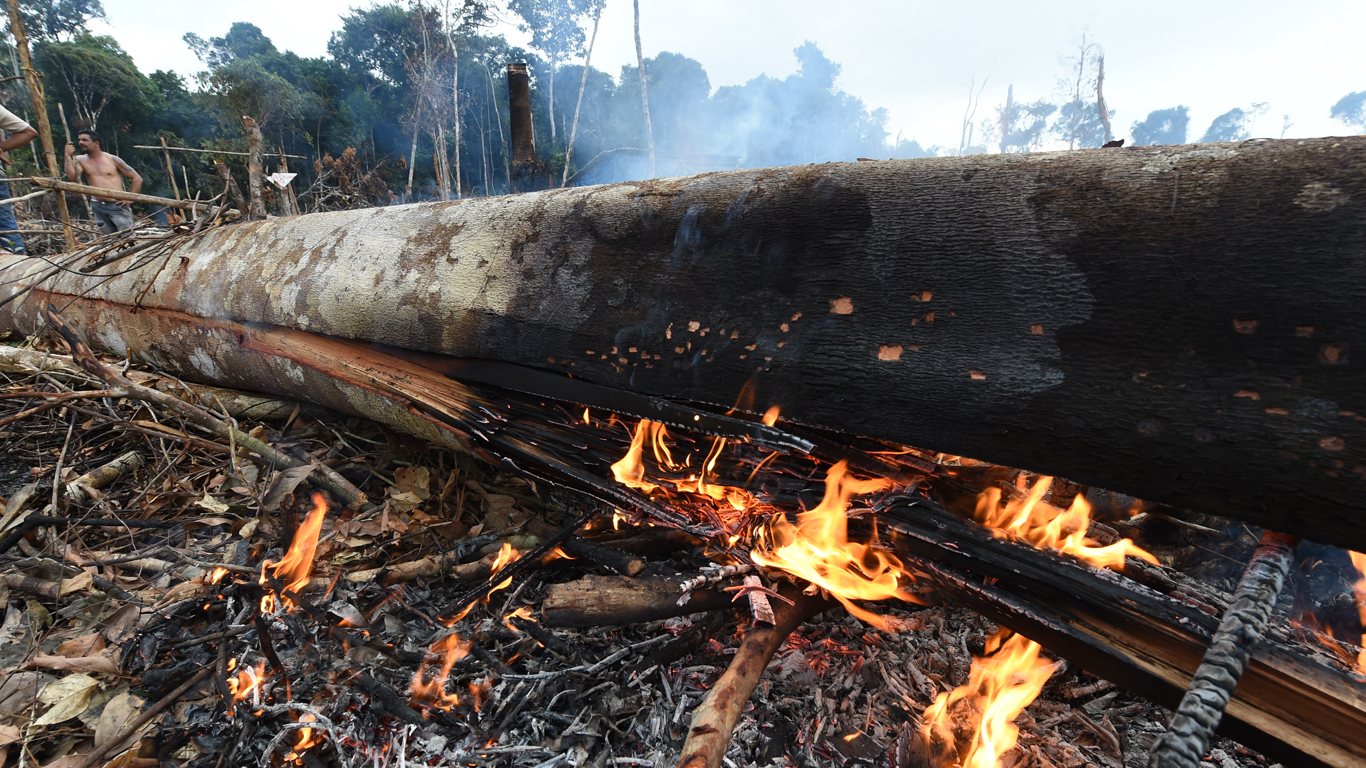 Fogo em região desmatada de Itacoatiara (Foto: Chico Batata/2015)