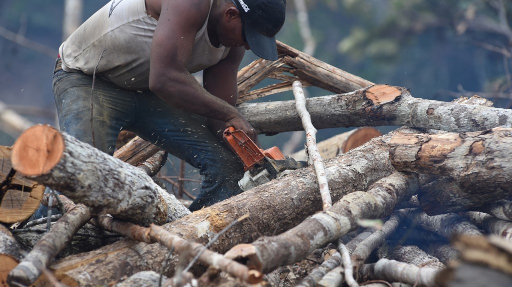 Homem trabalha em área desmatada de Itacoatiara (Foto: Chico Batata/2015)