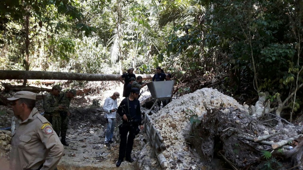 Policiais encontraram diversos crimes ambientais na reserva Uatumã (Foto: Divulgação PC)