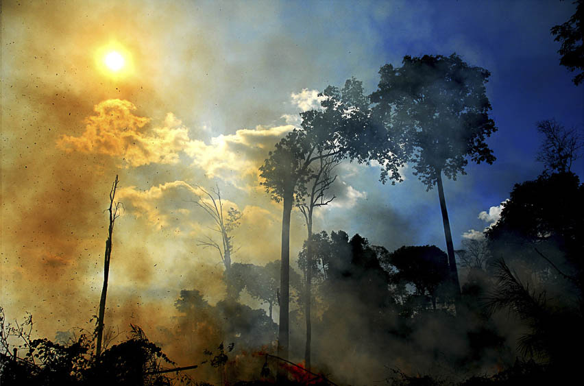 A queimada no Parque Nacional do Viruá em março de 2016 (Foto: Jorge Macêdo/AmReal)