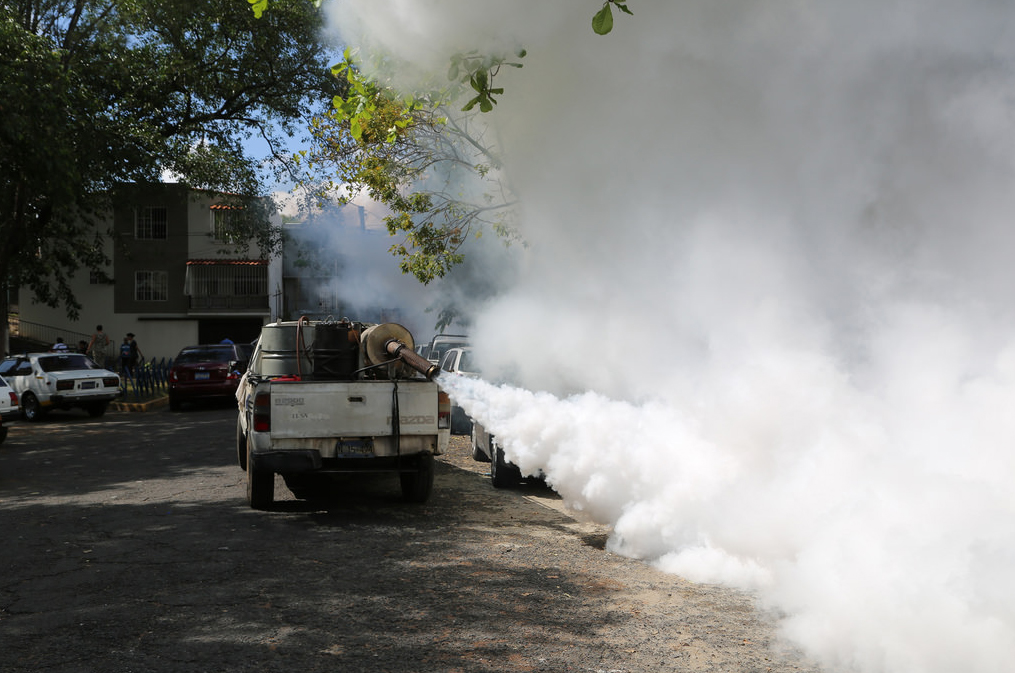 O combate ao mosquito Aedes aegypti ainda é a melhor solução contra as doenças. (Foto: OPAS)