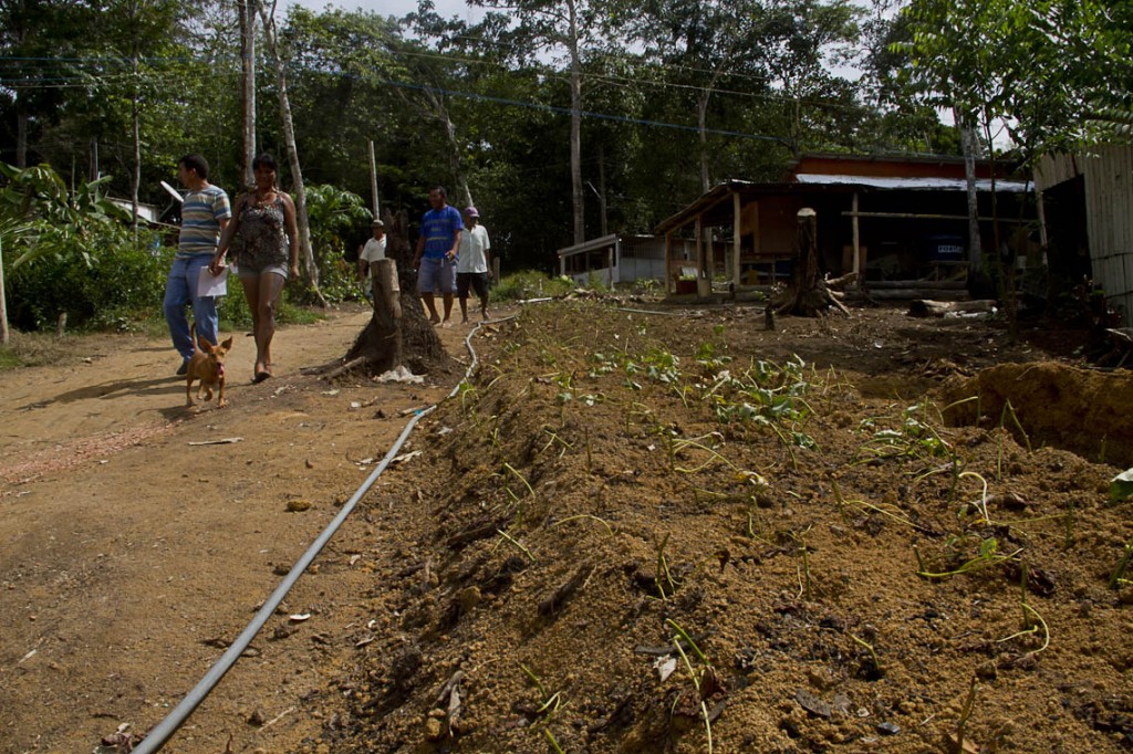 Índios vivem na área desde 2014 (Foto: Alberto César Araújo/Amazônia Real)