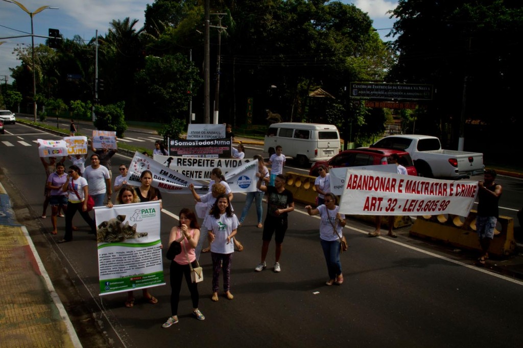 Protesto contra a morte da onça Juma no dia 25 de junho (Foto: Alberto César Araújo/Amazônia Real)