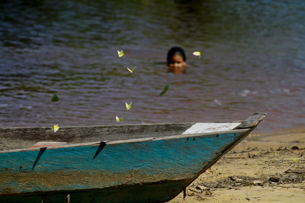 A vida nas águas do Tupé. (Foto: Alberto César Araújo/Amazônia Real)