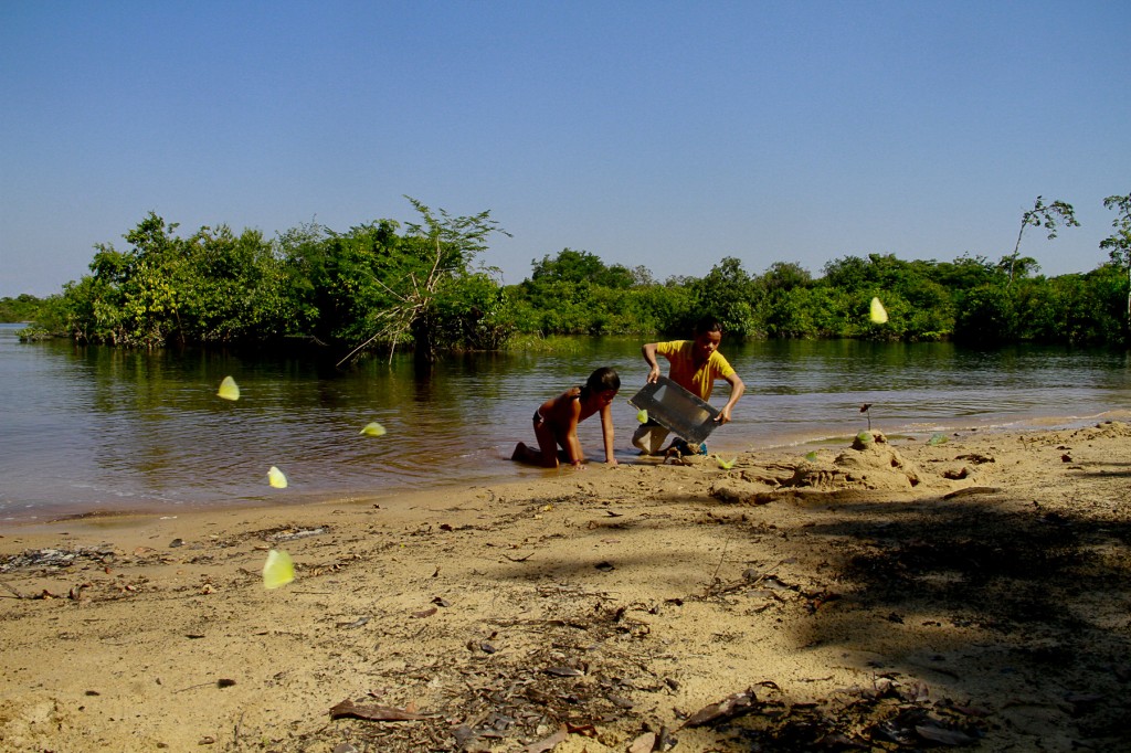 O Tupé é um paraíso ecológico da zona rural de Manaus. (Foto: Alberto César Araújo/Amazônia Real)