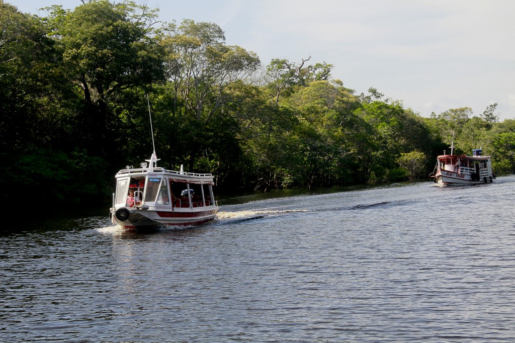 A vida nas águas do Tupé. (Foto: Alberto César Araújo/Amazônia Real)