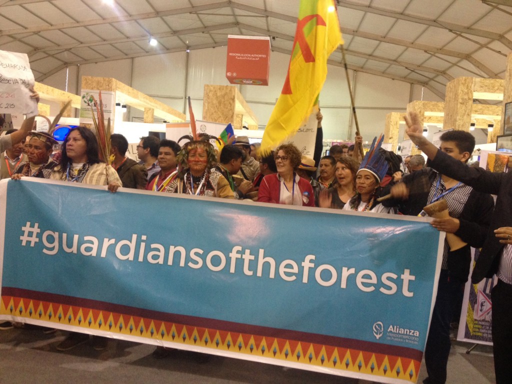 Índios e ativistas fazem protesto no pavilhão da Green Zone, na COP 22 (Foto: Rafaela Diedrich/ProjetoCasperNaCop22/Amazônia Real)