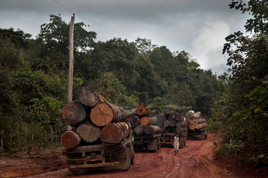 Caminhões carregados de madeira aguardam a travessia do rio Curuá-Una, próximo a Santarém, no oeste do Pará (Foto: Marizilda Cruppe/Greenpeace)