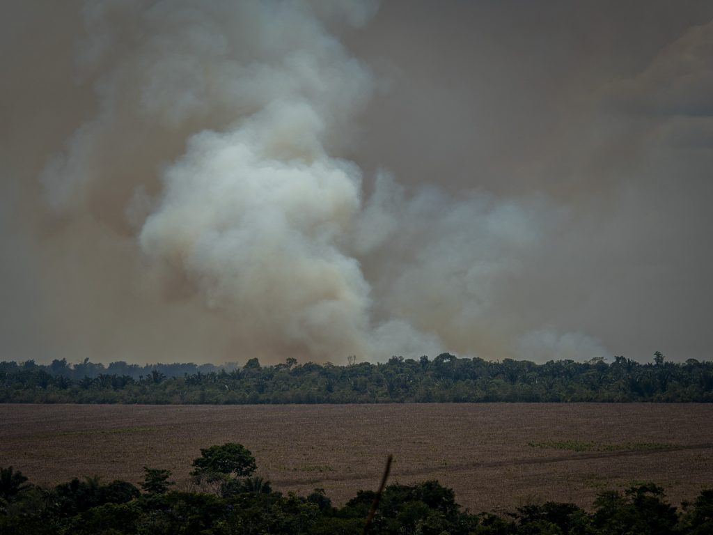 Queimada em área agrícola em Santarém (Foto: Adam Ronan/ECOFOR)