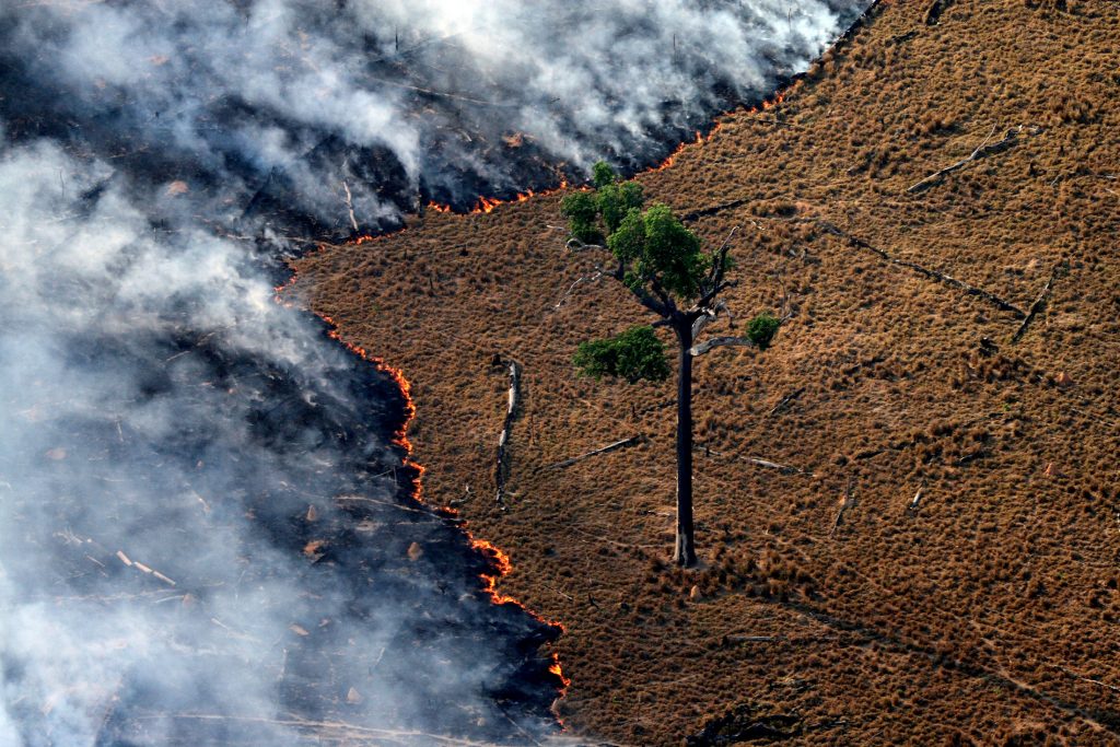 Queima de pastagem em área desmatada na Amazônia (Foto: Rodrigo Baleia/Greenpeace)