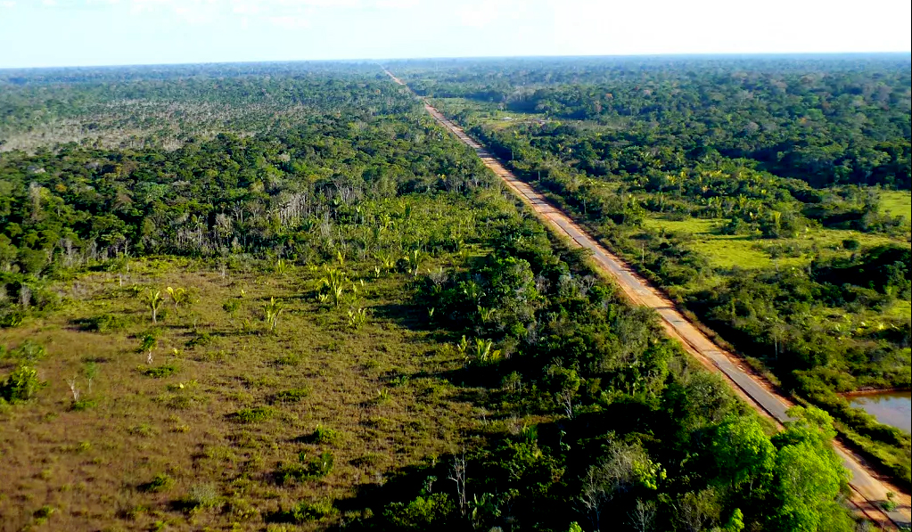 Br 319 E A Destruição Da Floresta Amazônica Amazônia Real 1467