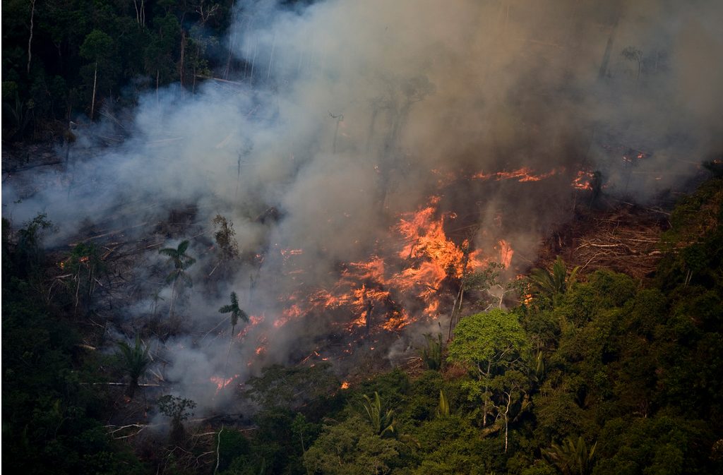 Desmatamento Amazônia (Foto: Daniel Beltra/Greenpeace)