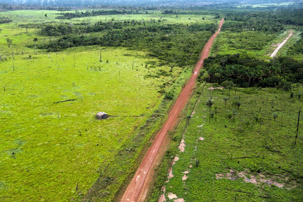 Em Maués o desmatamento no entorno das margens da rodovia Transamazônica (Foto: Daniel Beltrá/Greenpeace)
