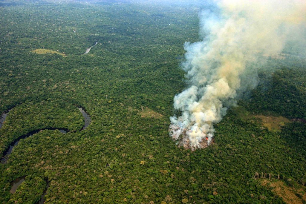 Queimada no sul do Amazonas (Foto Alberto César Araújo/Amazônia Real)