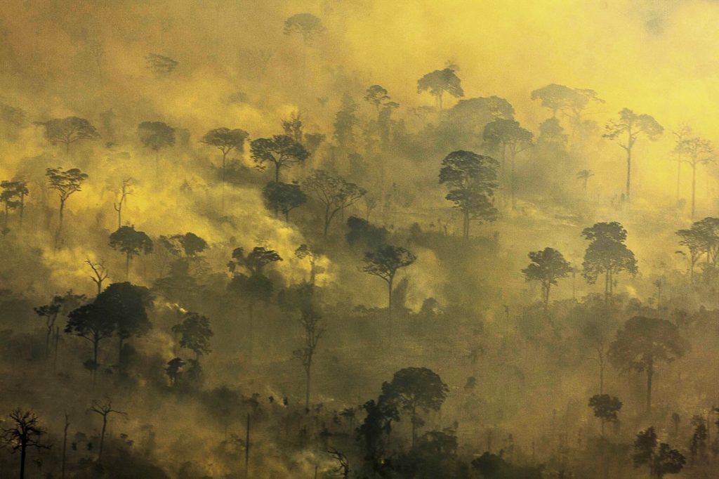 Queimadas e desmatamentos são ameaças às florestas em Alta Floresta, no Mato (Foto: Alberto César Araújo) 