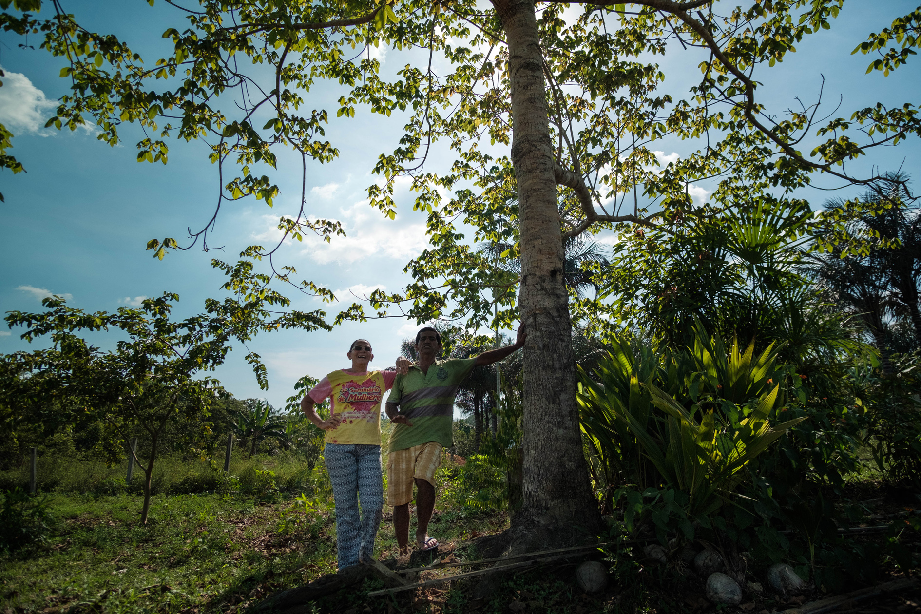 Quatro agricultores s\u00e3o mortos em novo conflito agr\u00e1rio na Amaz\u00f4nia ...