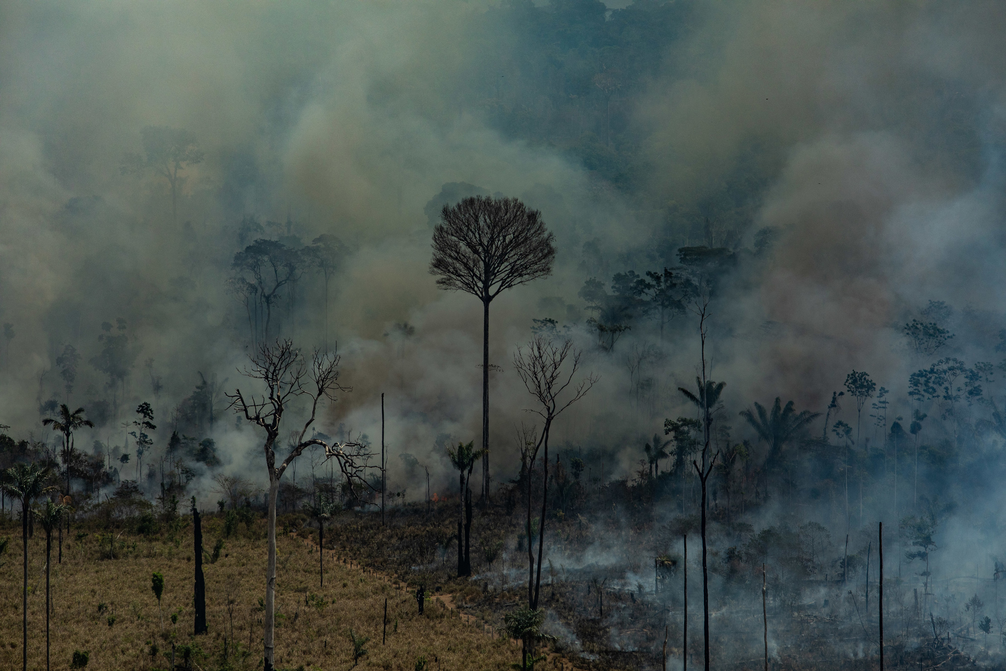 J O R N A L A I C O Envolvidos No Dia Do Fogo Se Uniram Para Queimar