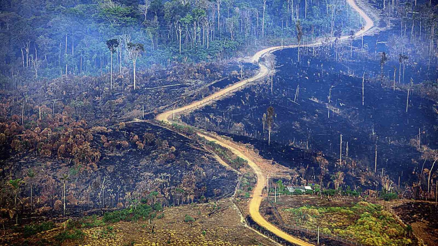 O recorde de fogo na Amazônia Amazônia Real