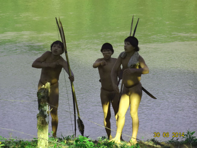 Os índios denominado pela Funai como o povo do Rio Xinane contatado em 2014.  (Foto: Divulgação Funai)