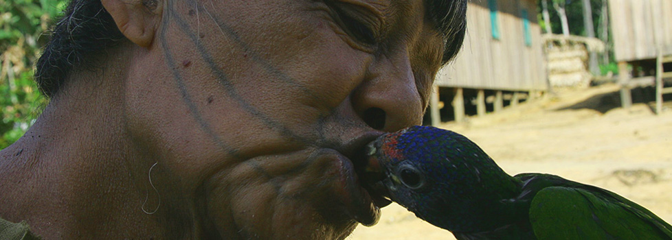 Aruká alimenta com mandioca o papagaio da família (Foto: Odair Leal/AR) 