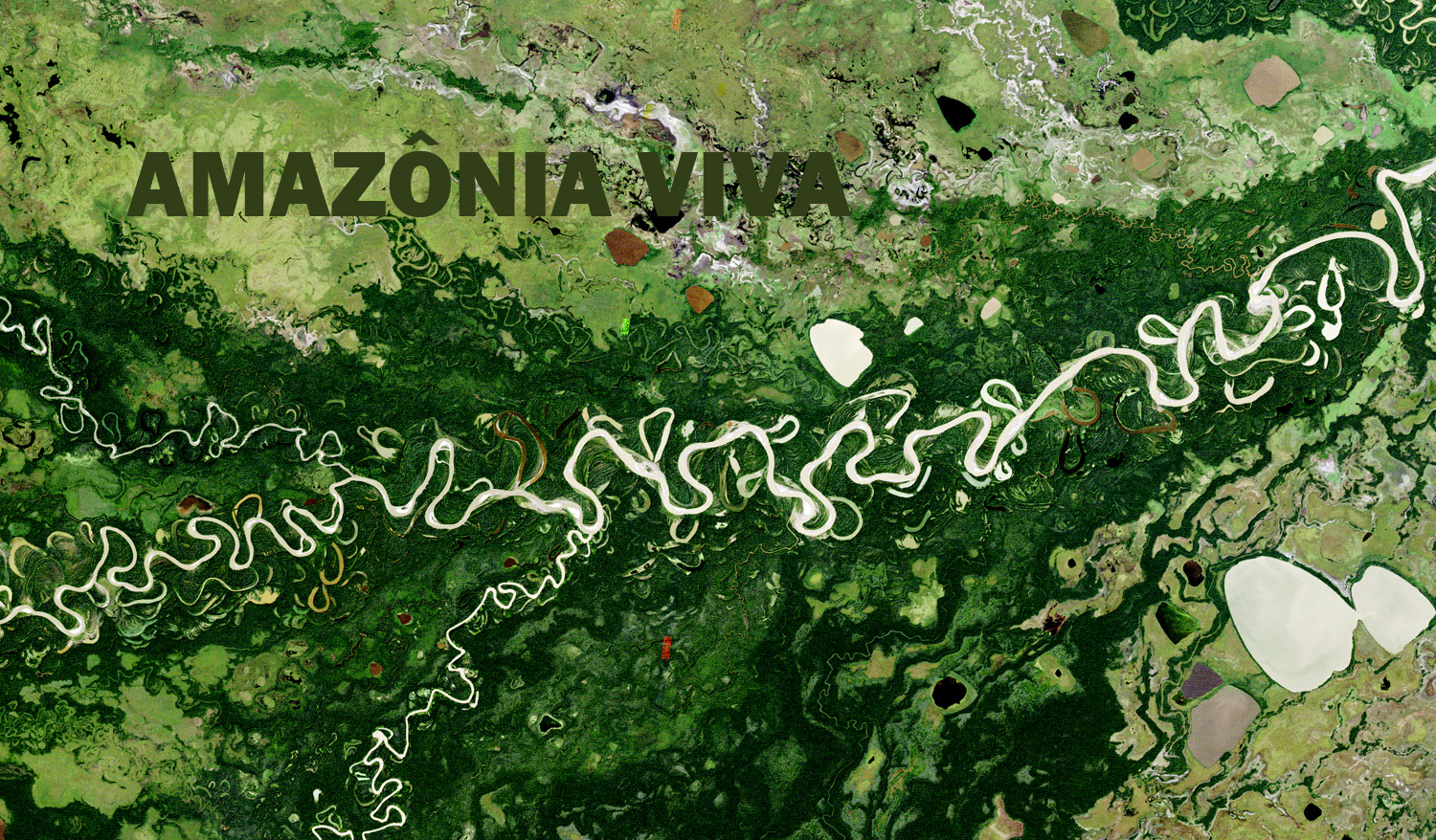 Pesquisa sobre conservação na Amazônia 7: fraqueza de parques e reservas