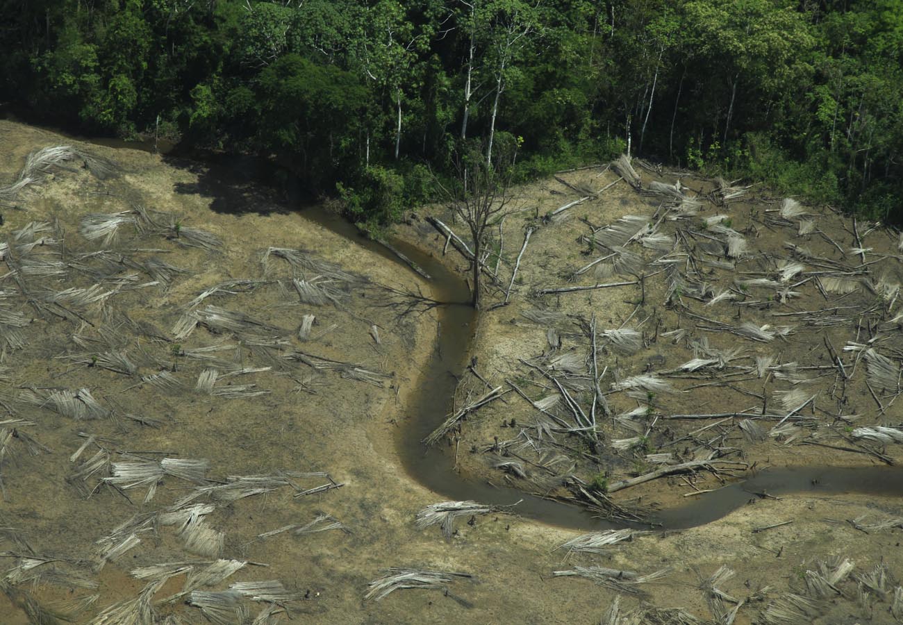 O herói do Acre - Amazônia Real