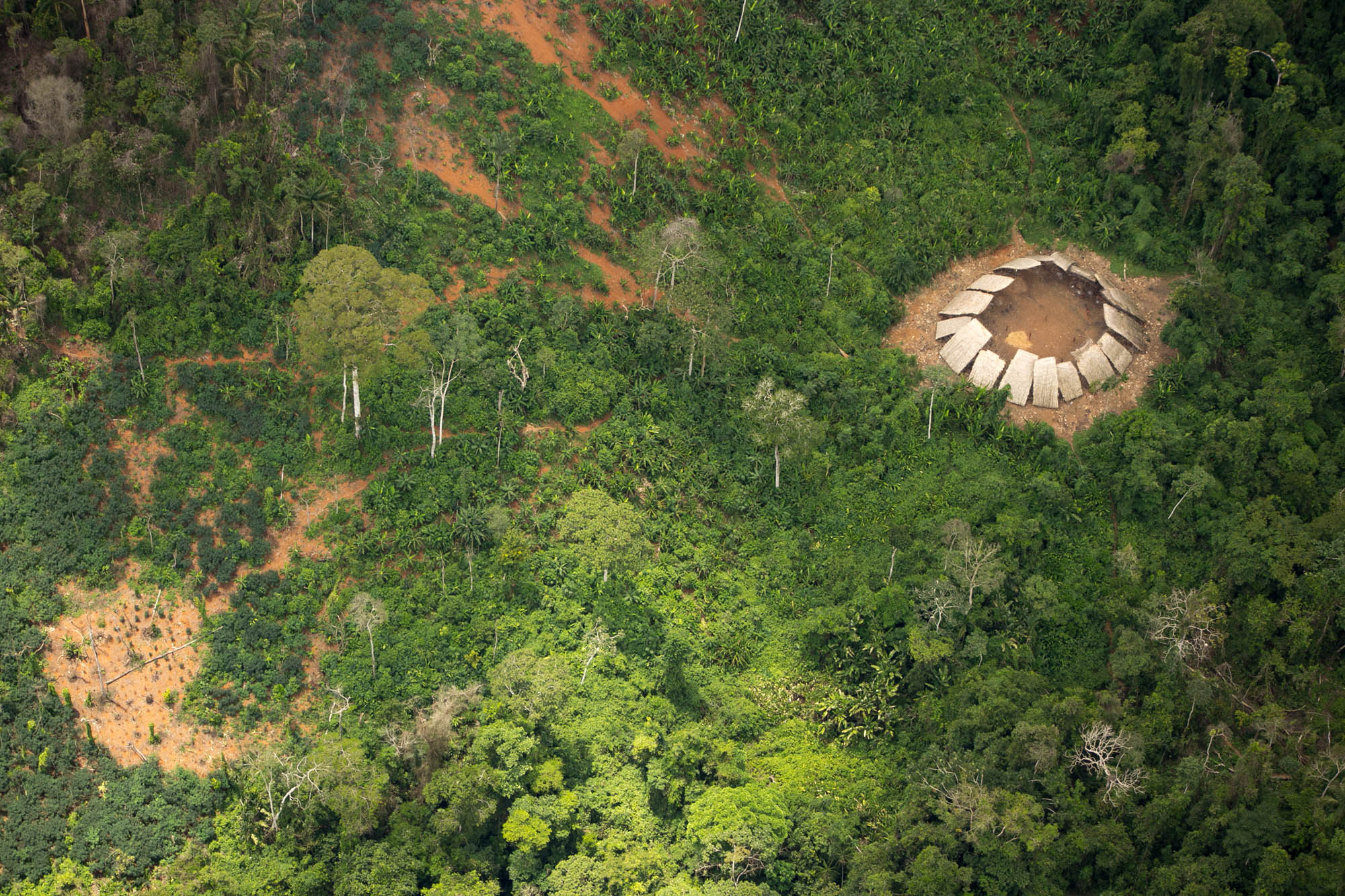 Mortes por tiros de dois isolados Moxihatëtëa alertam para extinção na terra Yanomami