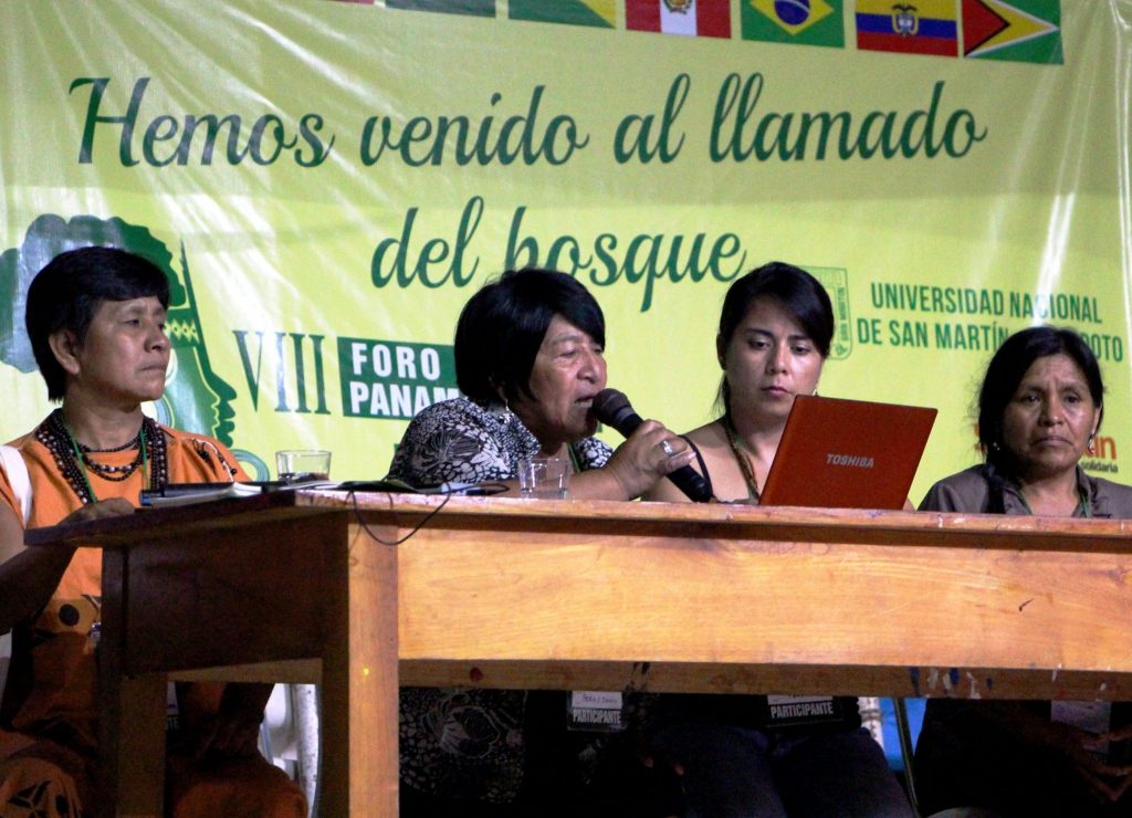 Plenário do Fórum Social Panamazônico (Foto: Fospa Peru)