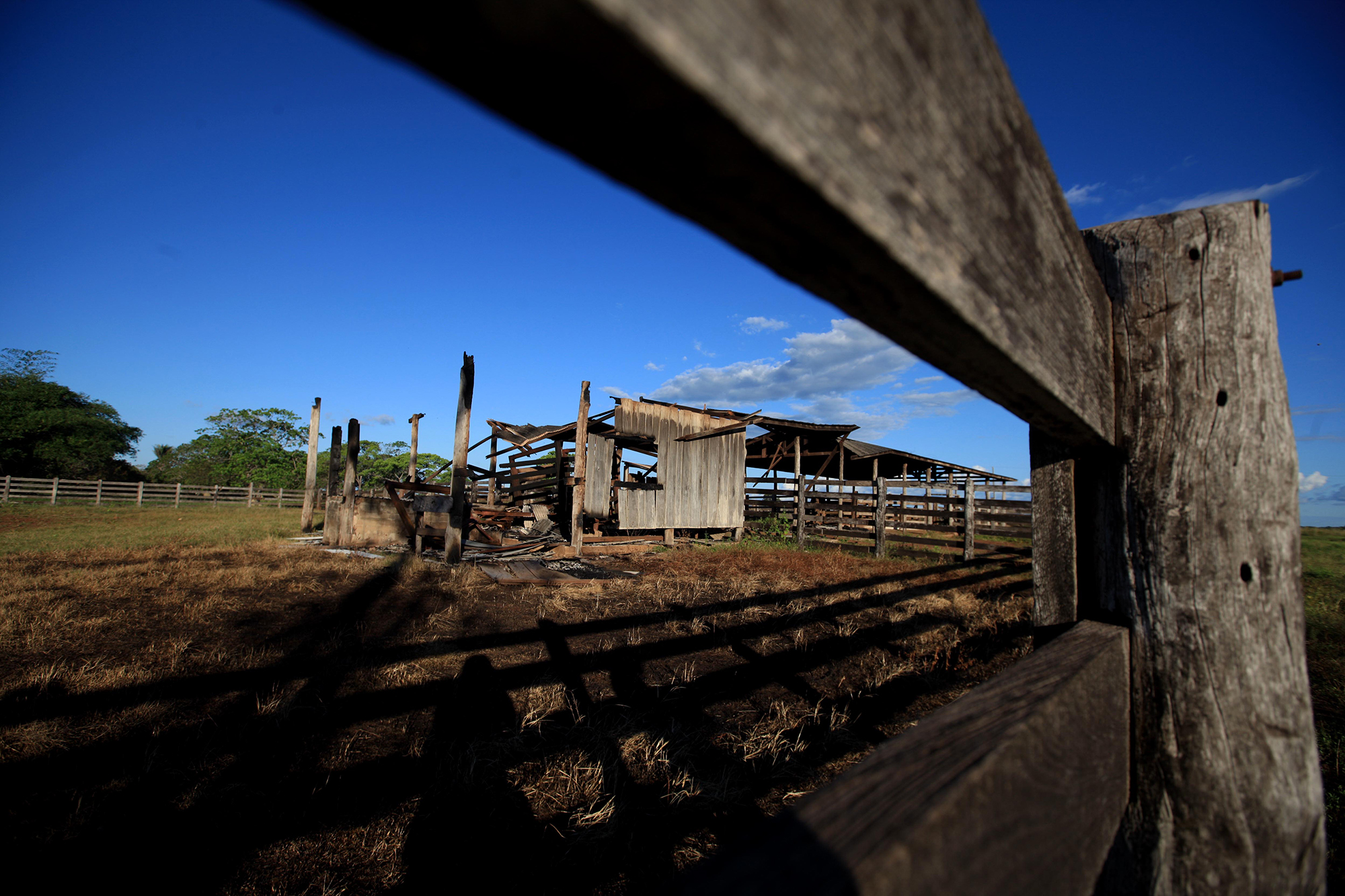 Chacina em Pau D´Arco: dona da fazenda Santa Lúcia fala sobre conflito agrário no Pará
