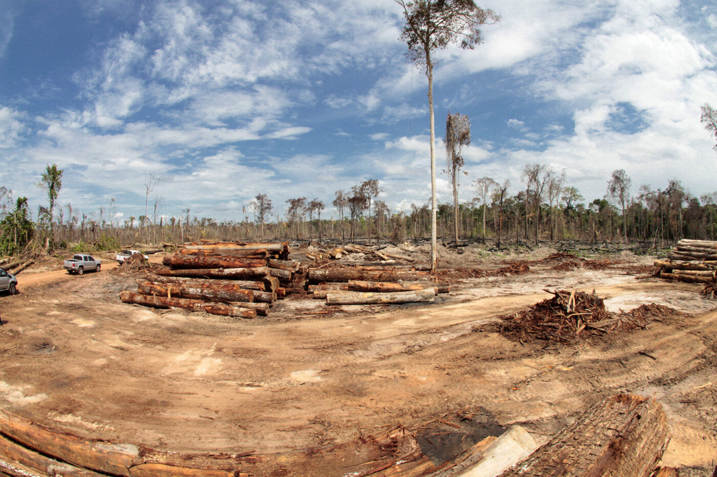 Exploração madeireira e incêndios florestais: 8 – Métodos para avaliar a  vulnerabilidade a incêndio - Amazônia Real