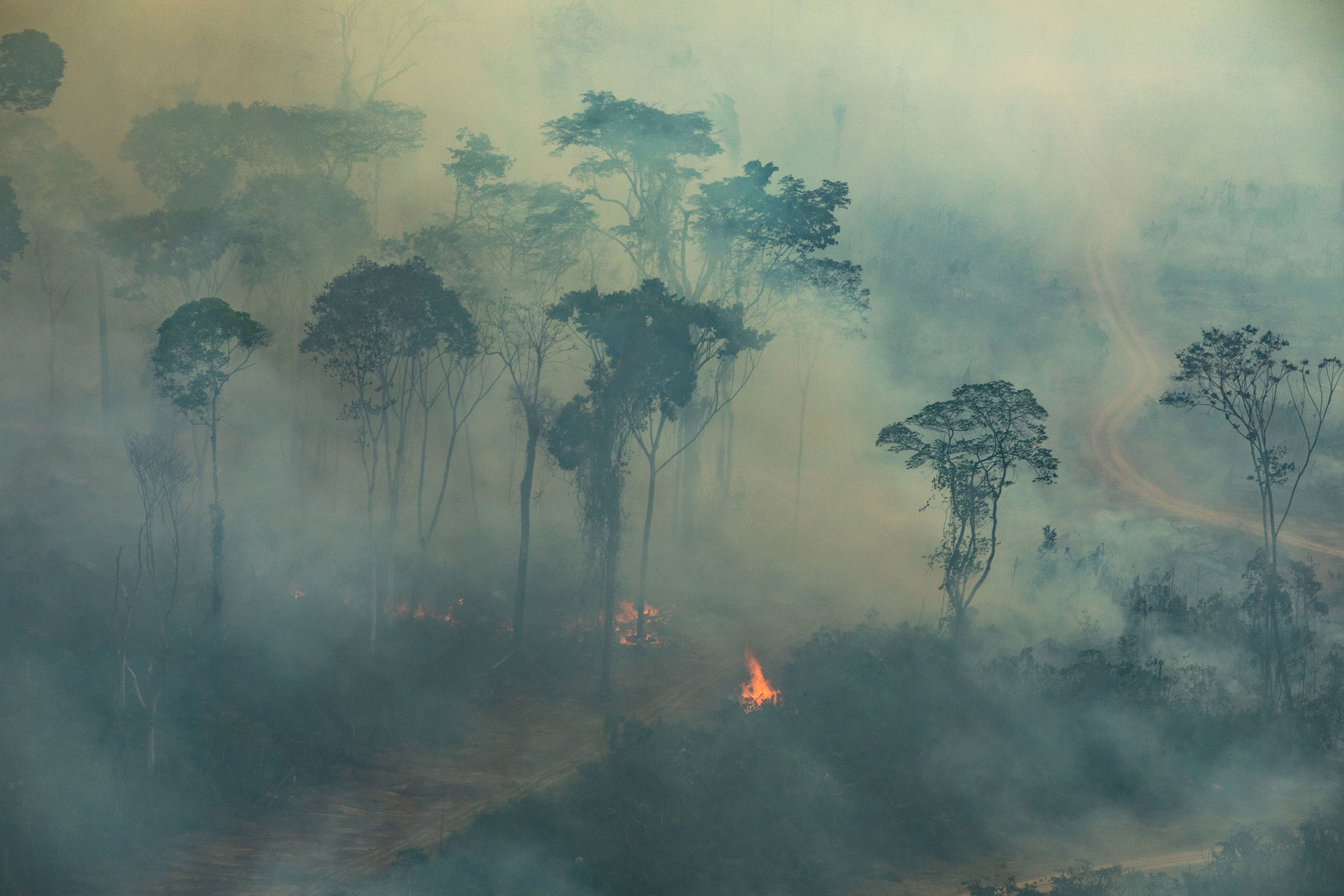 Amazônia vive a dupla ameaça da Covid-19 e das queimadas