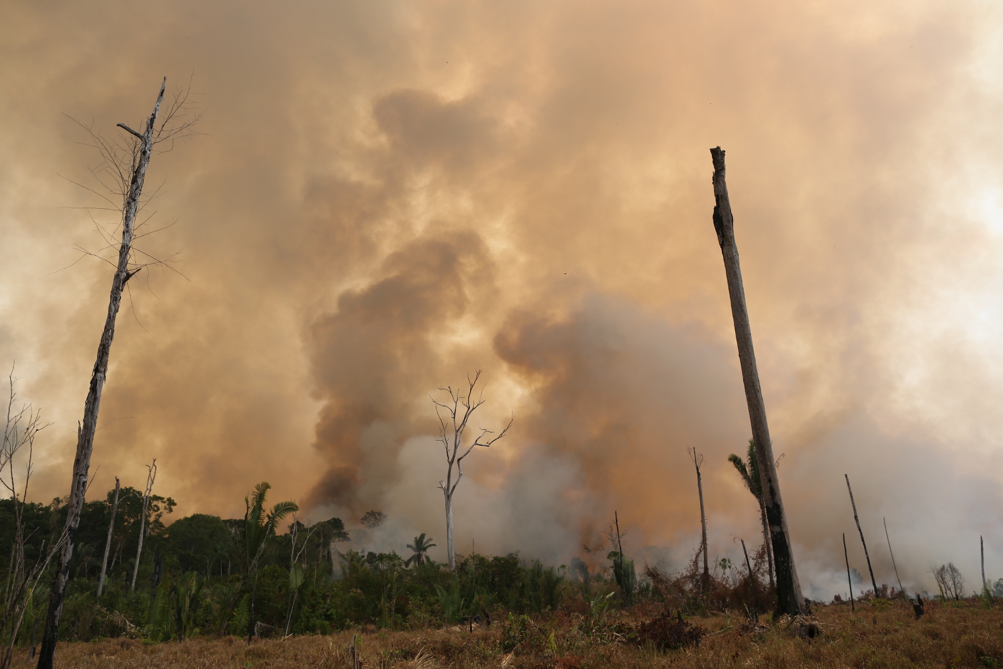 O Desmatamento da Amazônia Brasileira: 23-Refrear projetos de infraestrutura