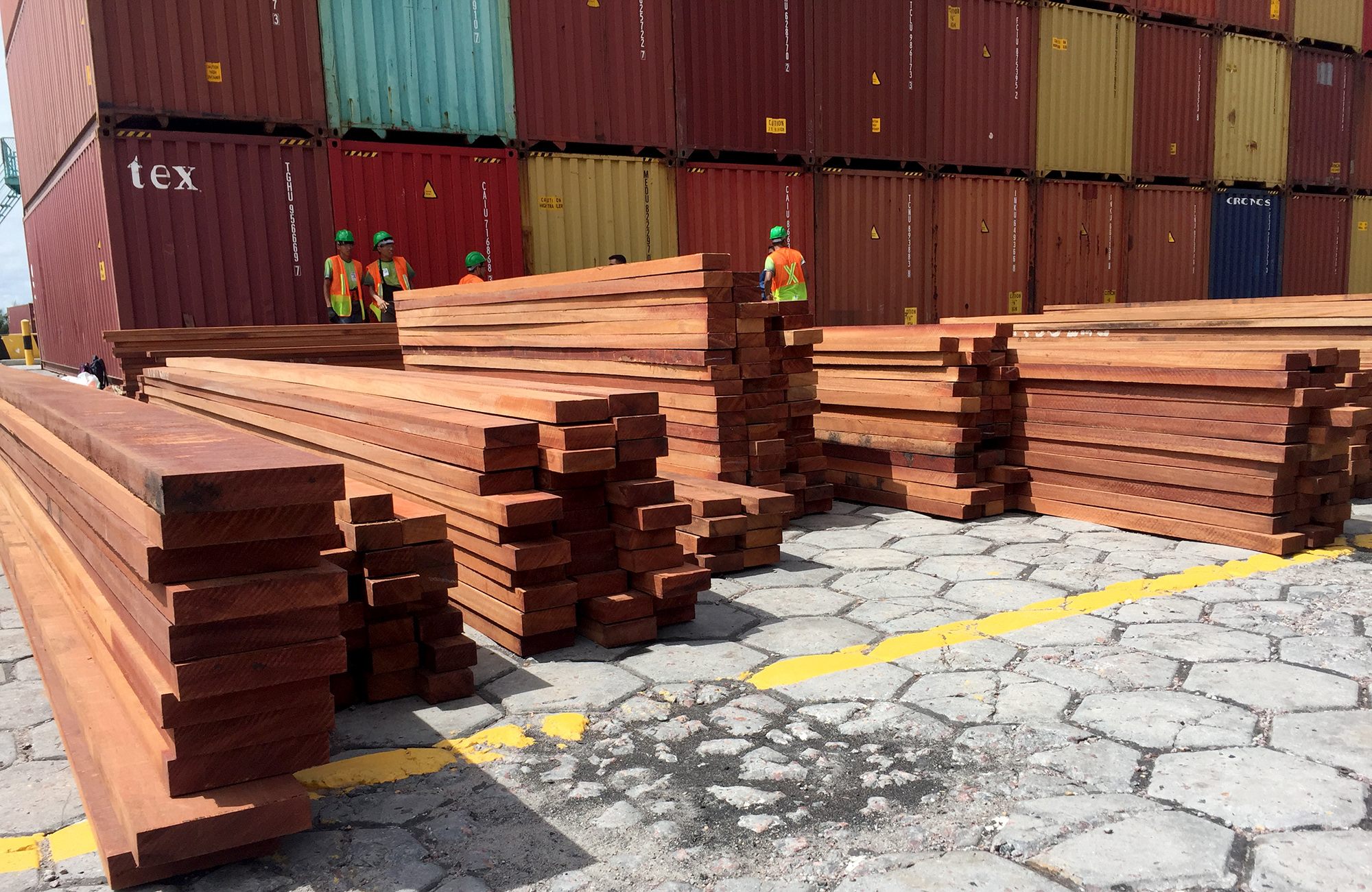 Amazônia em Chamas: 90% da madeira exportada são ilegais, diz Polícia Federal