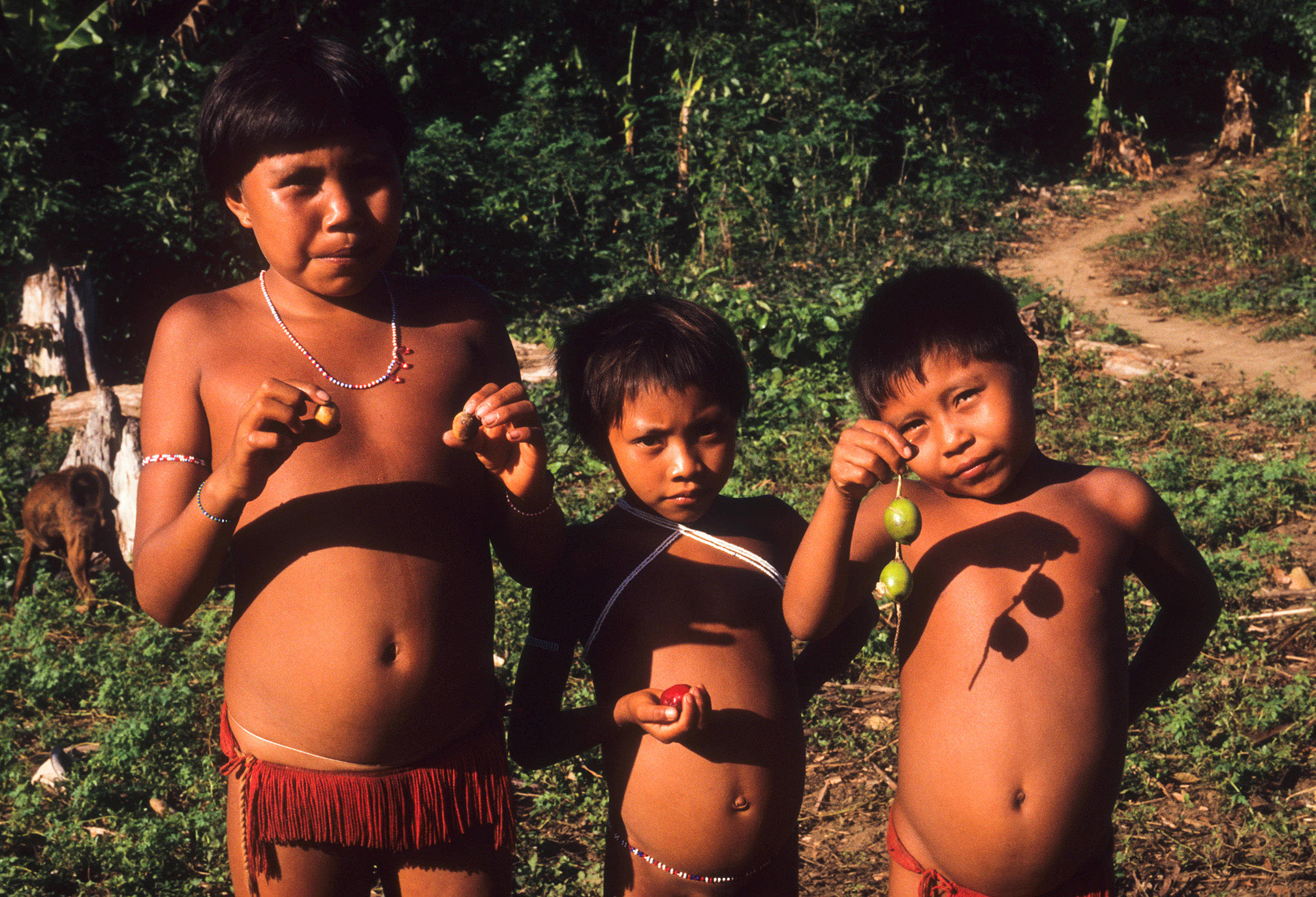 Coronavírus: O que podemos aprender com um xamã da Amazônia? Parte 4: Os seres que protegem o mundo