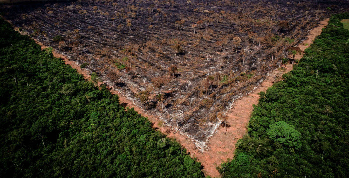 Agronegócio insiste em tirar Mato Grosso da Amazônia Legal