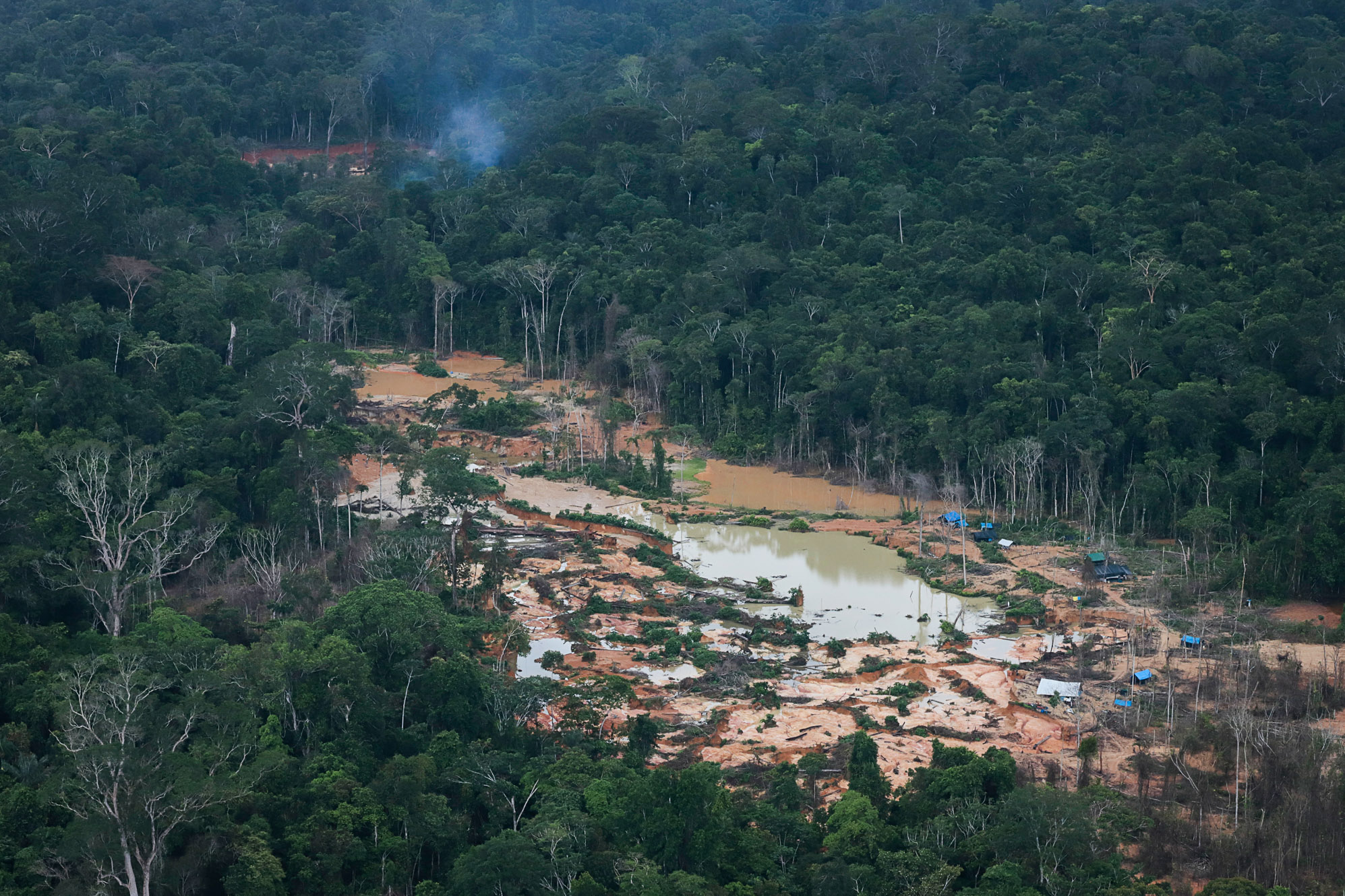 A morte dos rios - Greenpeace Brasil