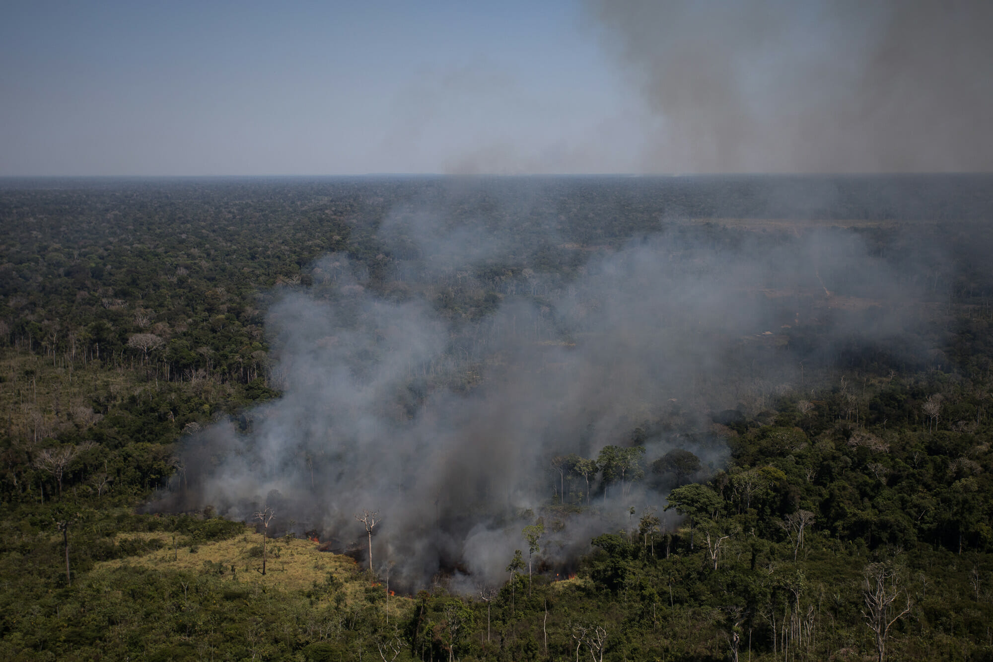 Floresta Amazônica perdeu quase 100 hectares por hora