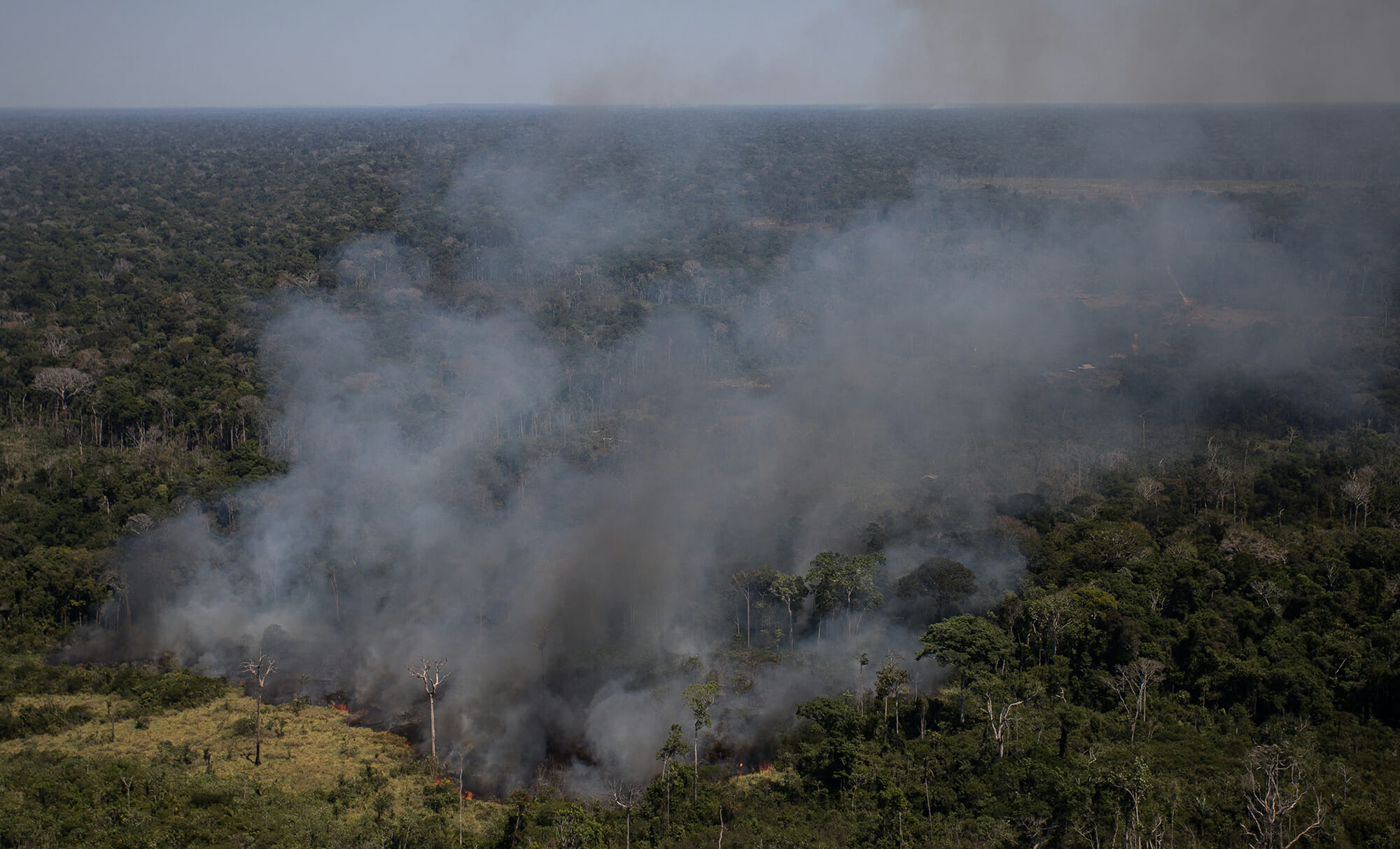 Amazônia em Chamas 20: “Tudo que vai queimar está pela frente”, diz Setzer sobre a temporada do fogo