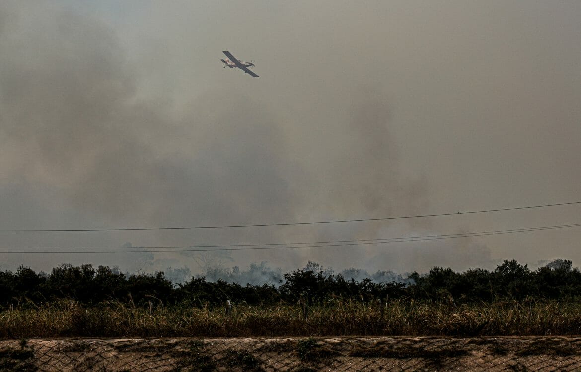 Vídeo: pecuarista usa drone para tocar a boiada - Revista Globo Rural