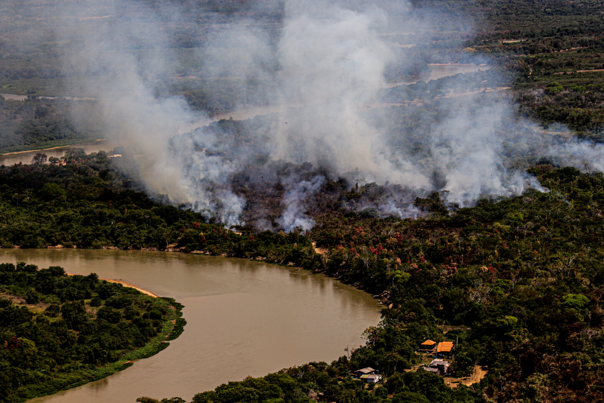 Amazônia em Chamas: Povo Bororo perde árvores frutíferas e medicinais para o fogo no Mato Grosso