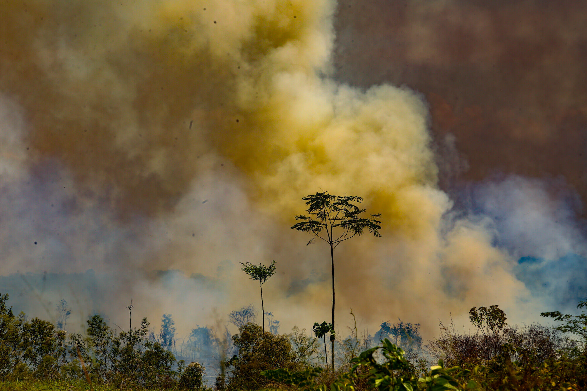 Amazônia em Chamas 20 Três estados lideram o ranking das queimadas na