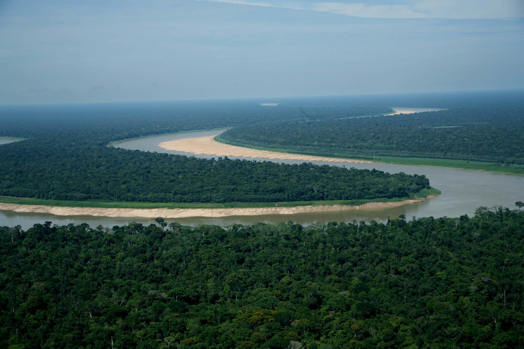 Região Trans-Purus, a última floresta intacta: 4 – A ameaça da rodovia BR- 230 - Amazônia Real