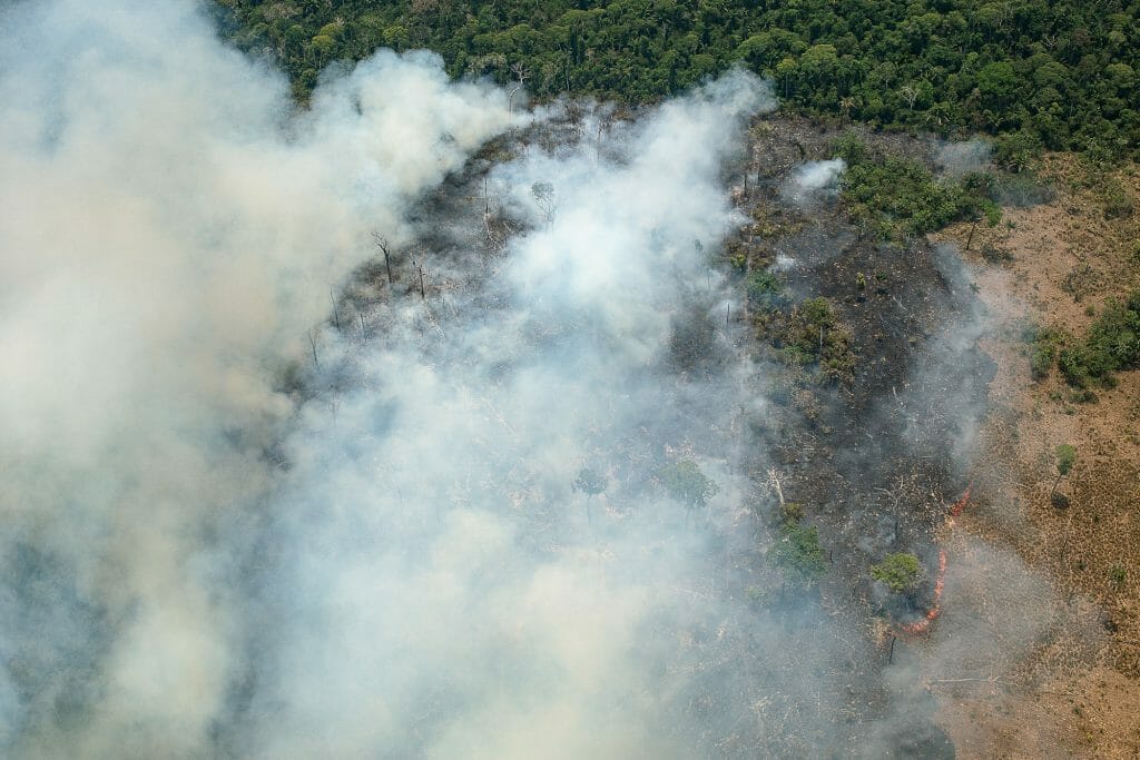 Chuva apaga incêndio na Apa Alter do Chão; imagens de satélite mostram  evolução das chamas, Santarém e Região