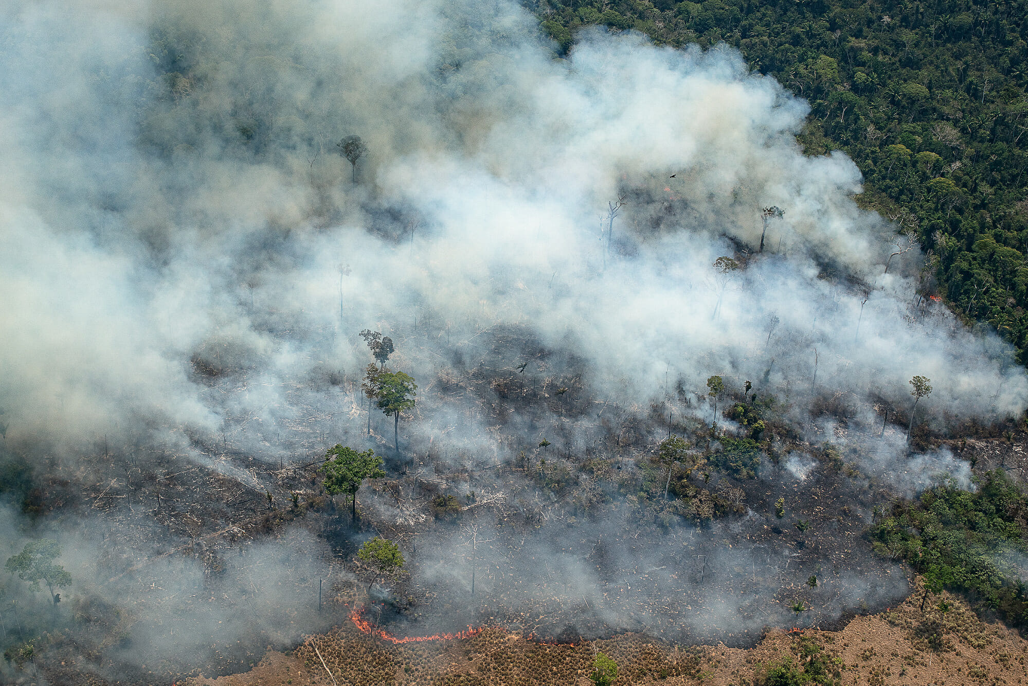 Amazônia em Chamas: Sobrevoo flagra avanço da degradação ambiental no território Munduruku