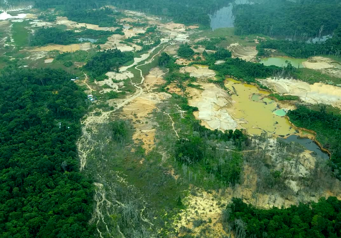 Contaminação por mercúrio e covid na Terra Yanomami 